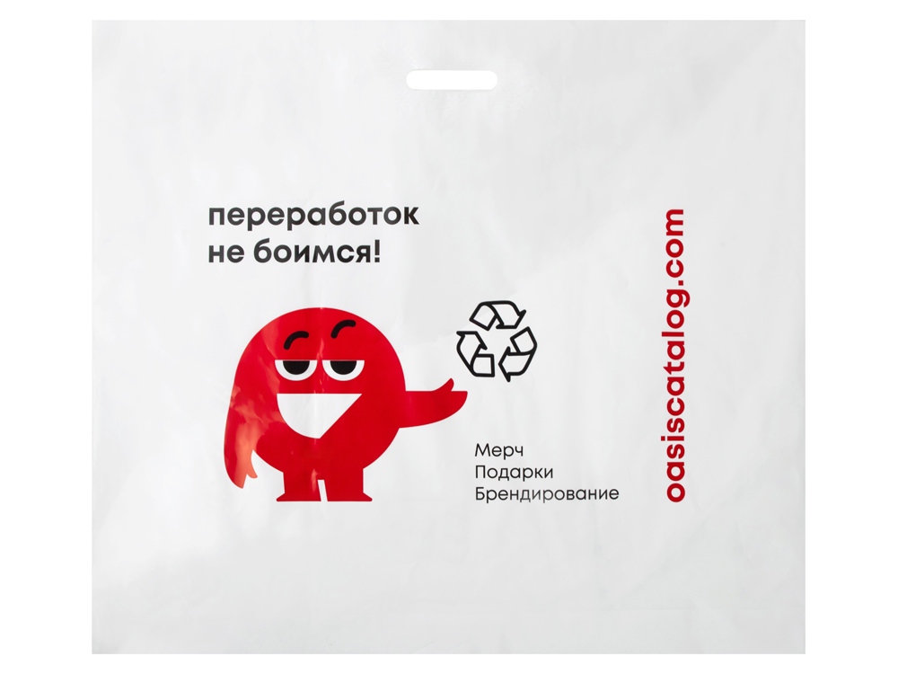 Фирменный пакет Oasis, L с логотипом  | Print Logo