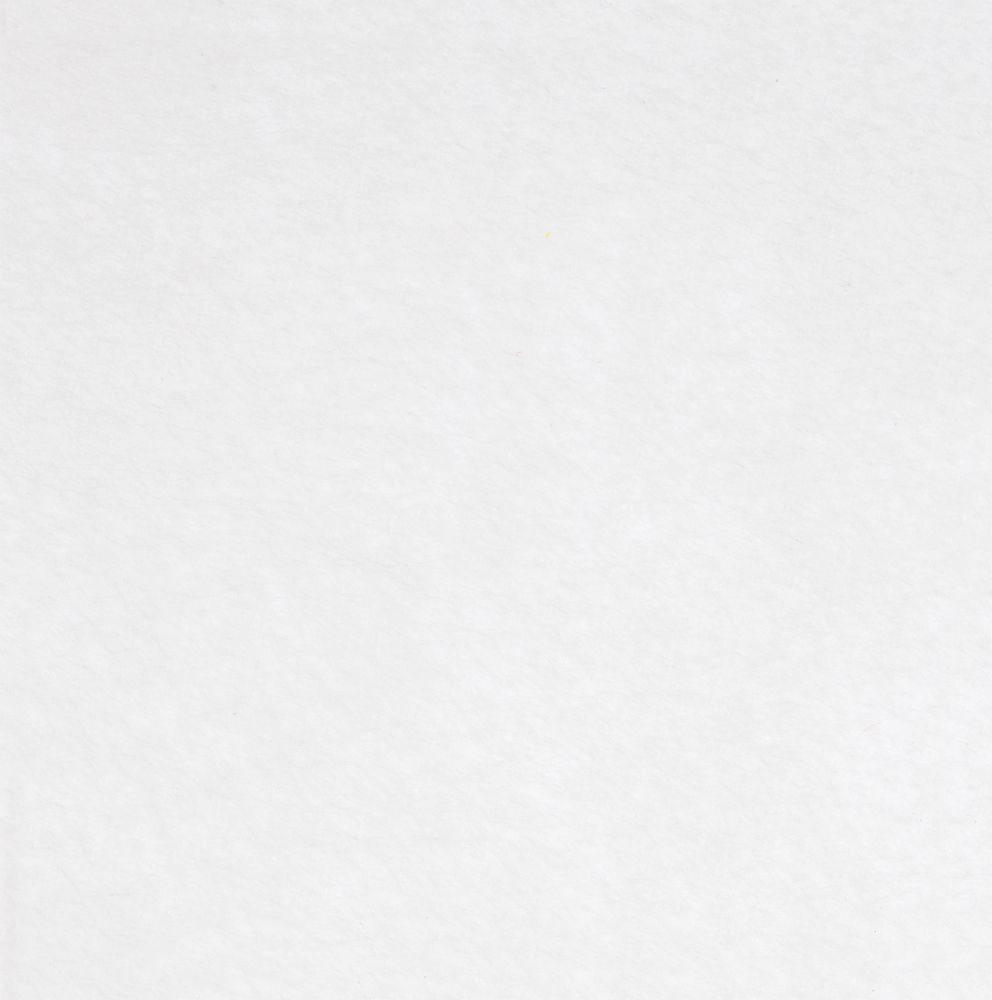 Заготовка из фетра Felt L с логотипом  | Print Logo