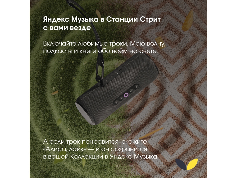 Умная портативная колонка Яндекс Станция Стрит с Алисой, черный (YNDX-00030BLK)