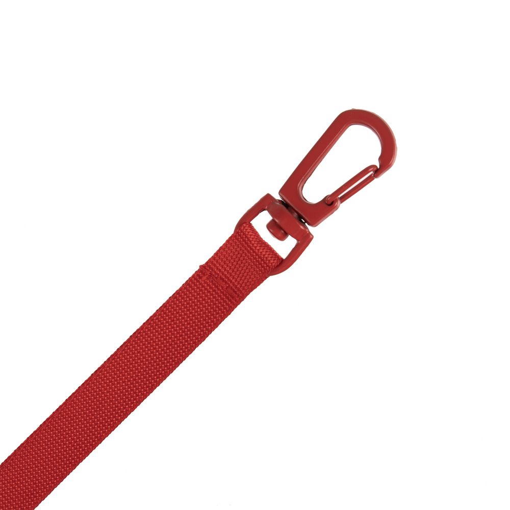 Застежка-карабин Snap Hook, S фото в интернет-магазине Print Logo.
