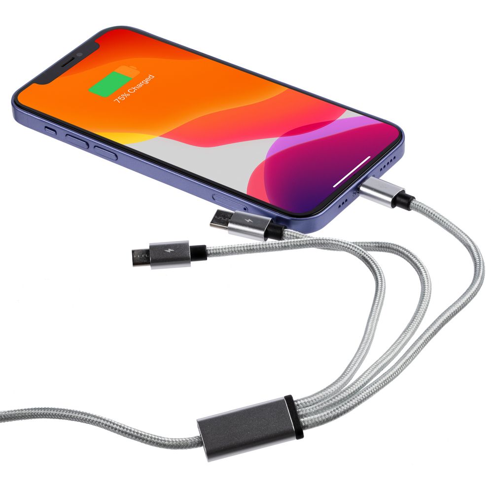 Кабель Triple Charge в футляре фото на сайте Print Logo.