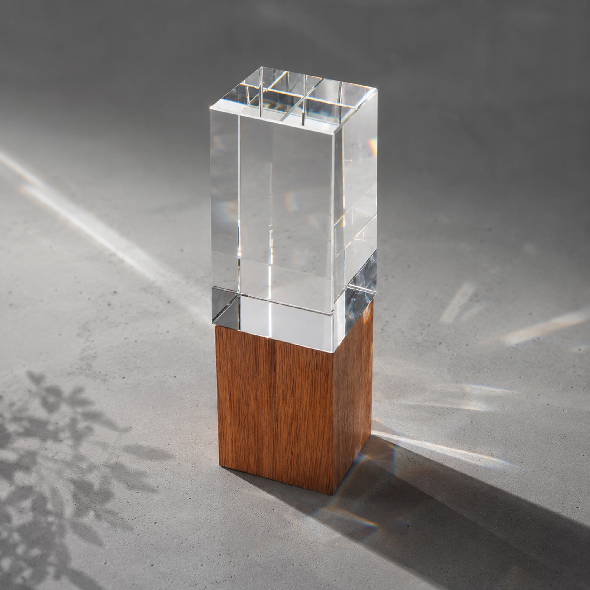Награда Wood and glass с логотипом  | Print Logo