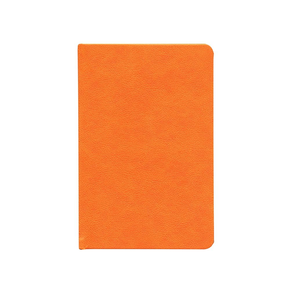 Ежедневник Daily Mini, недатированный