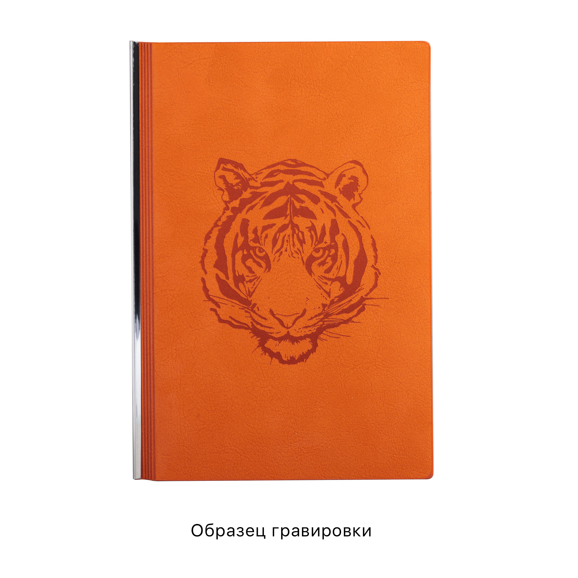 Ежедневник недатированный "Аскона", формат А5, черный, синий