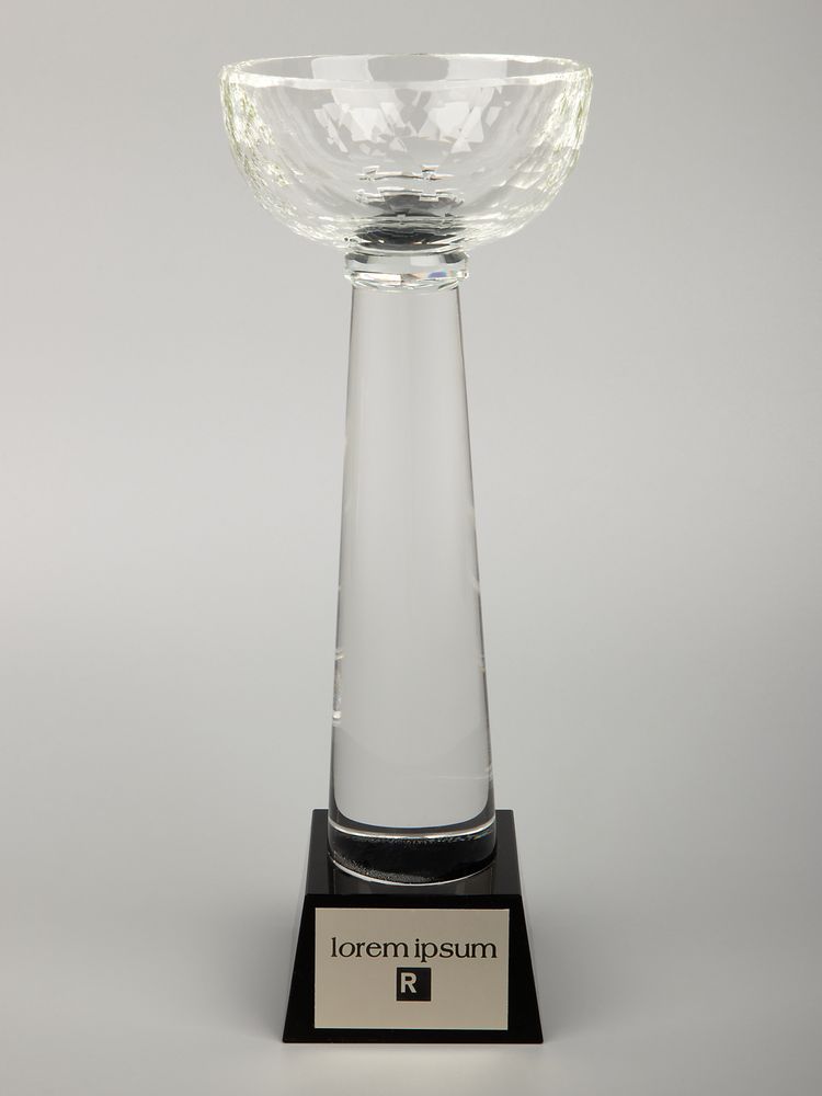 Кубок Cupture