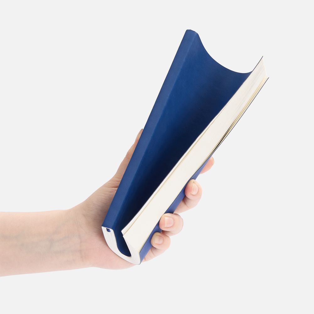 Ежедневник Flat Light, недатированный