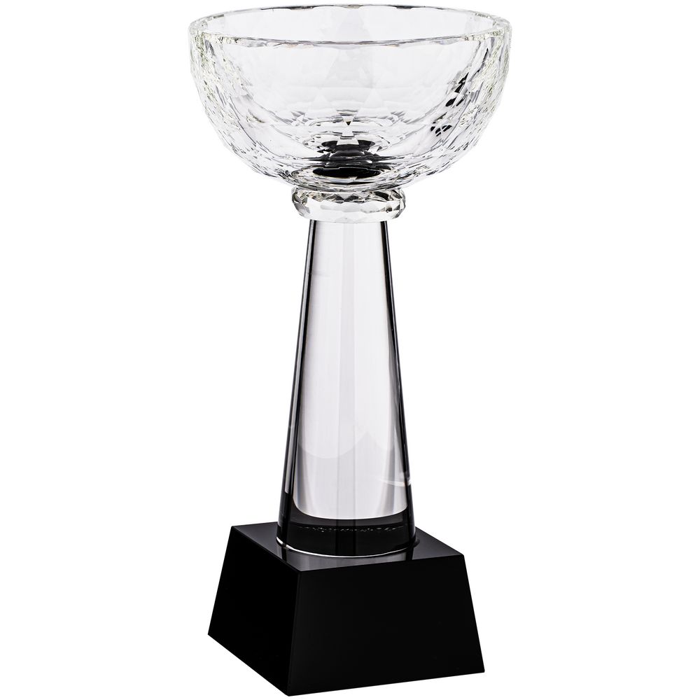 Кубок Cupture — пример нанесения логотипа () | Print Logo